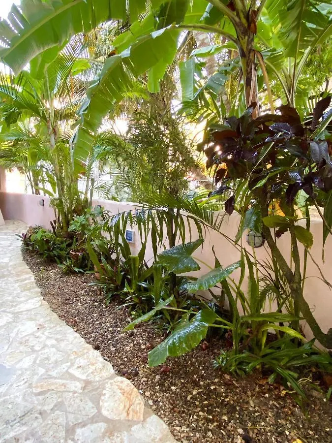 Hotel Alegria كاباريتي