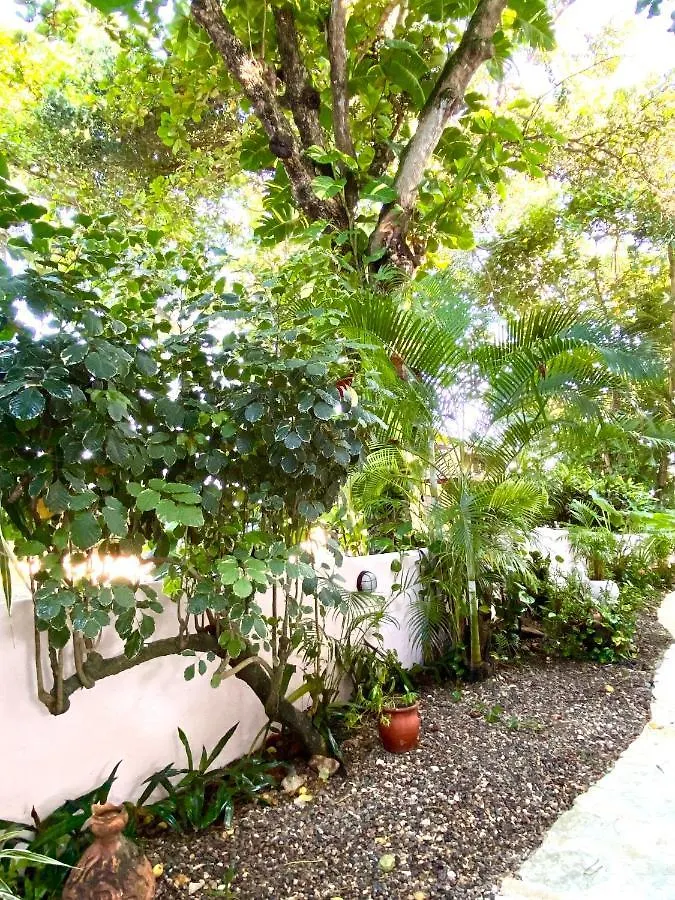 קברטה Hotel Alegria